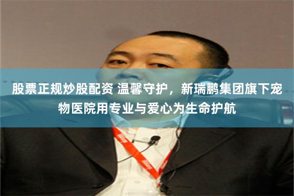 股票正规炒股配资 温馨守护，新瑞鹏集团旗下宠物医院用专业与爱心为生命护航