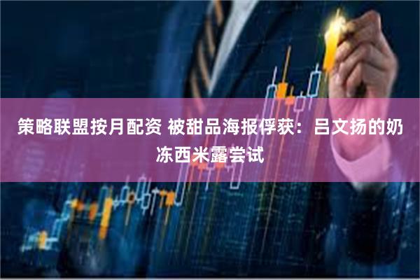 策略联盟按月配资 被甜品海报俘获：吕文扬的奶冻西米露尝试