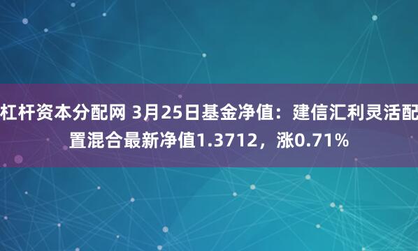 杠杆资本分配网 3月25日基金净值：建信汇利灵活配置混合最新净值1.3712，涨0.71%