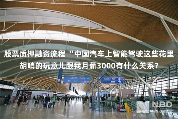 股票质押融资流程 “中国汽车上智能驾驶这些花里胡哨的玩意儿跟我月薪3000有什么关系？
