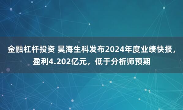 金融杠杆投资 昊海生科发布2024年度业绩快报，盈利4.202亿元，低于分析师预期
