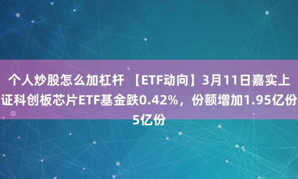 个人炒股怎么加杠杆 【ETF动向】3月11日嘉实上证科创板芯片ETF基金跌0.42%，份额增加1.95亿份