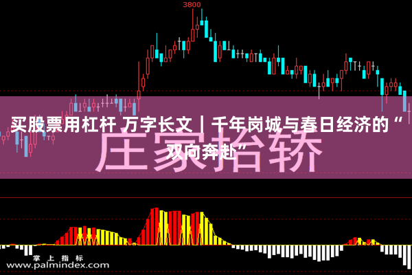 买股票用杠杆 万字长文｜千年岗城与春日经济的“双向奔赴”