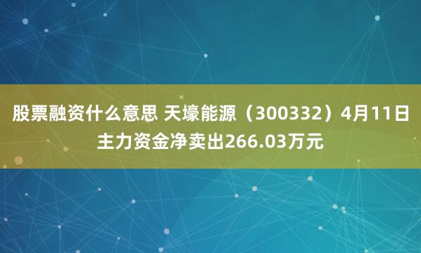 股票融资什么意思 天壕能源（300332）4月11日主力资金净卖出266.03万元