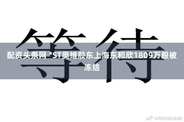 配资头条网 *ST奥维股东上海东和欣1809万股被冻结