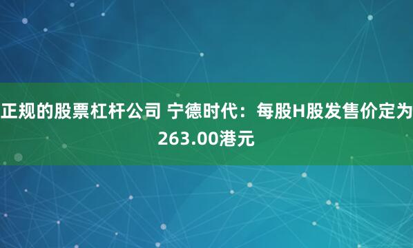 正规的股票杠杆公司 宁德时代：每股H股发售价定为263.00港元