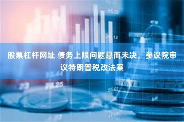 股票杠杆网址 债务上限问题悬而未决，参议院审议特朗普税改法案