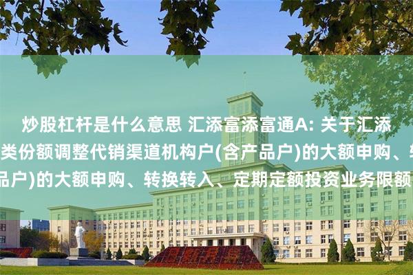 炒股杠杆是什么意思 汇添富添富通A: 关于汇添富添富通货币市场基金A类份额调整代销渠道机构户(含产品户)的大额申购、转换转入、定期定额投资业务限额的公告