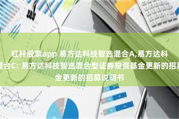 杠杆股票app 易方达科技智选混合A,易方达科技智选混合C: 易方达科技智选混合型证券投资基金更新的招募说明书