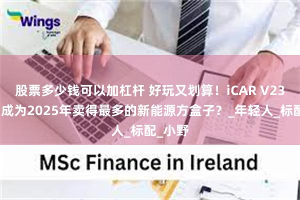 股票多少钱可以加杠杆 好玩又划算！iCAR V23凭什么成为2025年卖得最多的新能源方盒子？_年轻人_标配_小野