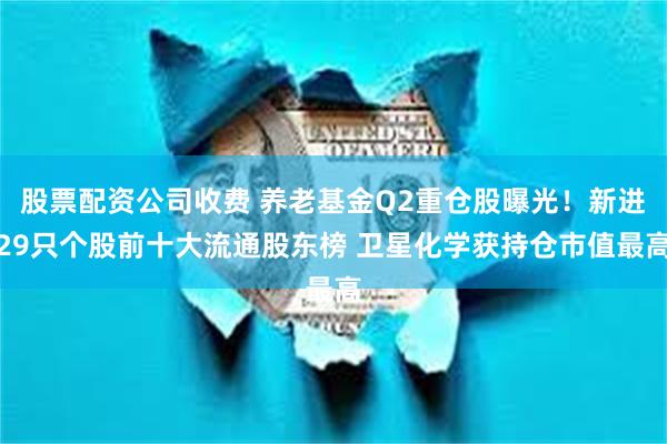 股票配资公司收费 养老基金Q2重仓股曝光！新进29只个股前十大流通股东榜 卫星化学获持仓市值最高