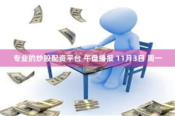 专业的炒股配资平台 午盘播报 11月3日 周一