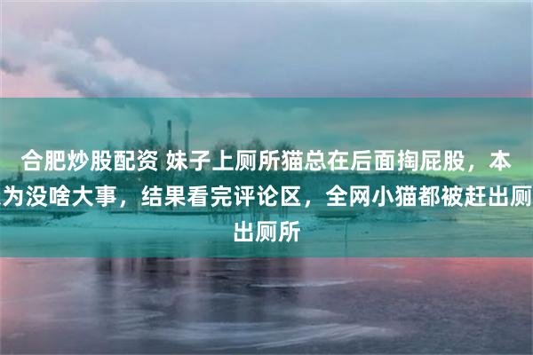 合肥炒股配资 妹子上厕所猫总在后面掏屁股,本以为没啥大事,结果看完评论区,全网小猫都被赶出厕所