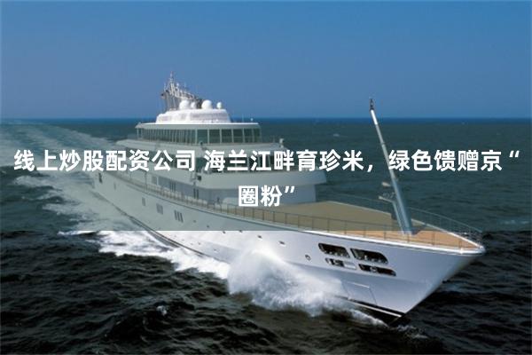 线上炒股配资公司 海兰江畔育珍米,绿色馈赠京“圈粉”