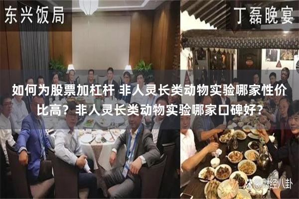 如何为股票加杠杆 非人灵长类动物实验哪家性价比高?非人灵长类动物实验哪家口碑好?